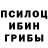 Псилоцибиновые грибы Psilocybe Joan Andrade