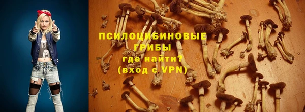 не бодяженный Аркадак