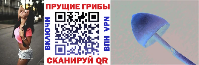 Галлюциногенные грибы Psilocybe  где можно купить наркотик  Липки 